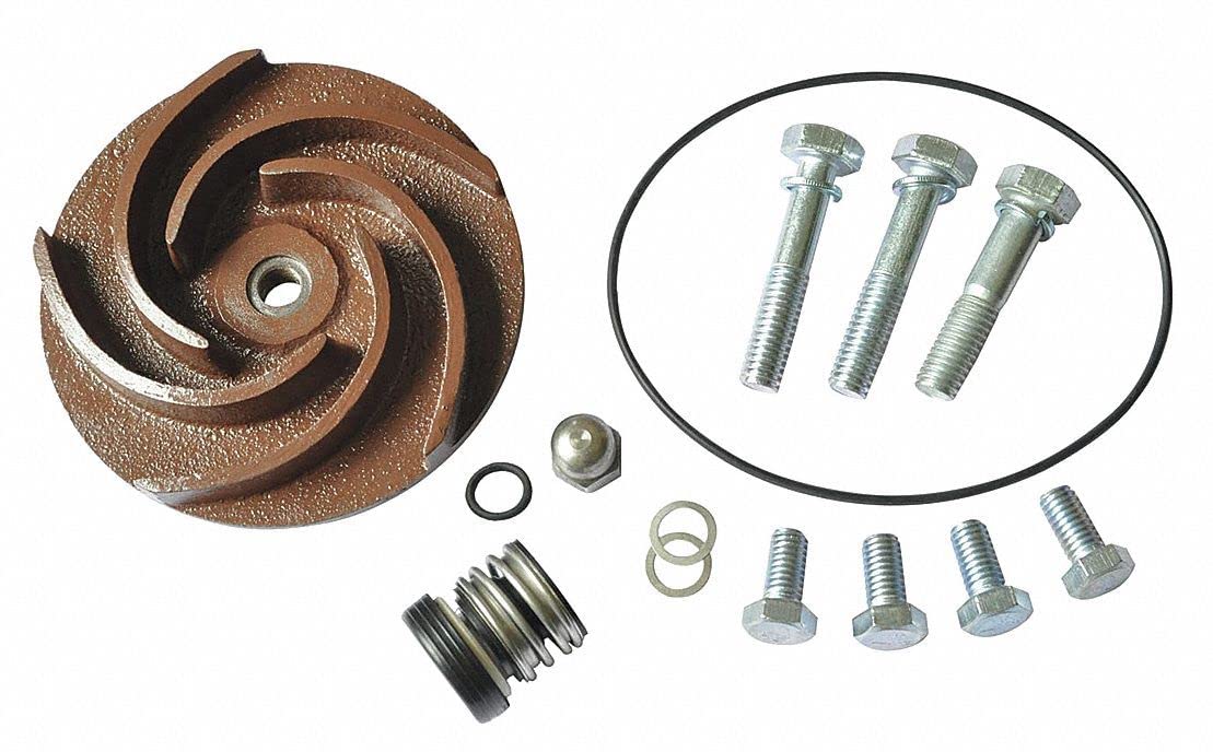 Amazon.com: Dayton Pump Repair Kit for 2ZWR2, 2ZWR3-21TG47