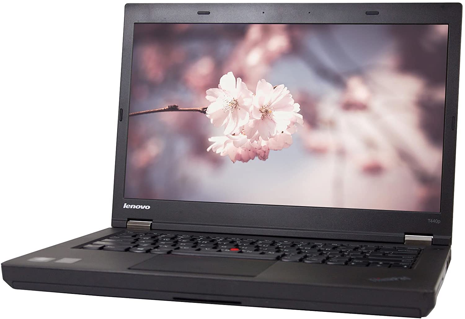 Amazon.com: Lenovo ThinkPad T440p 14