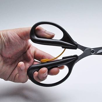 Amazon.com : CANARY Spring Loaded Craft Scissors 6.3