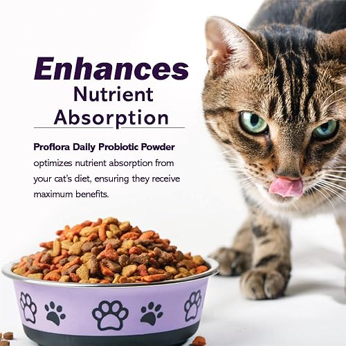 Miniatura 5 de Probióticos para gatos: salud intestinal completa y apoyo inmunológico. Probióticos digestivos de múltiples cepas fáciles de usar. Transiciones de