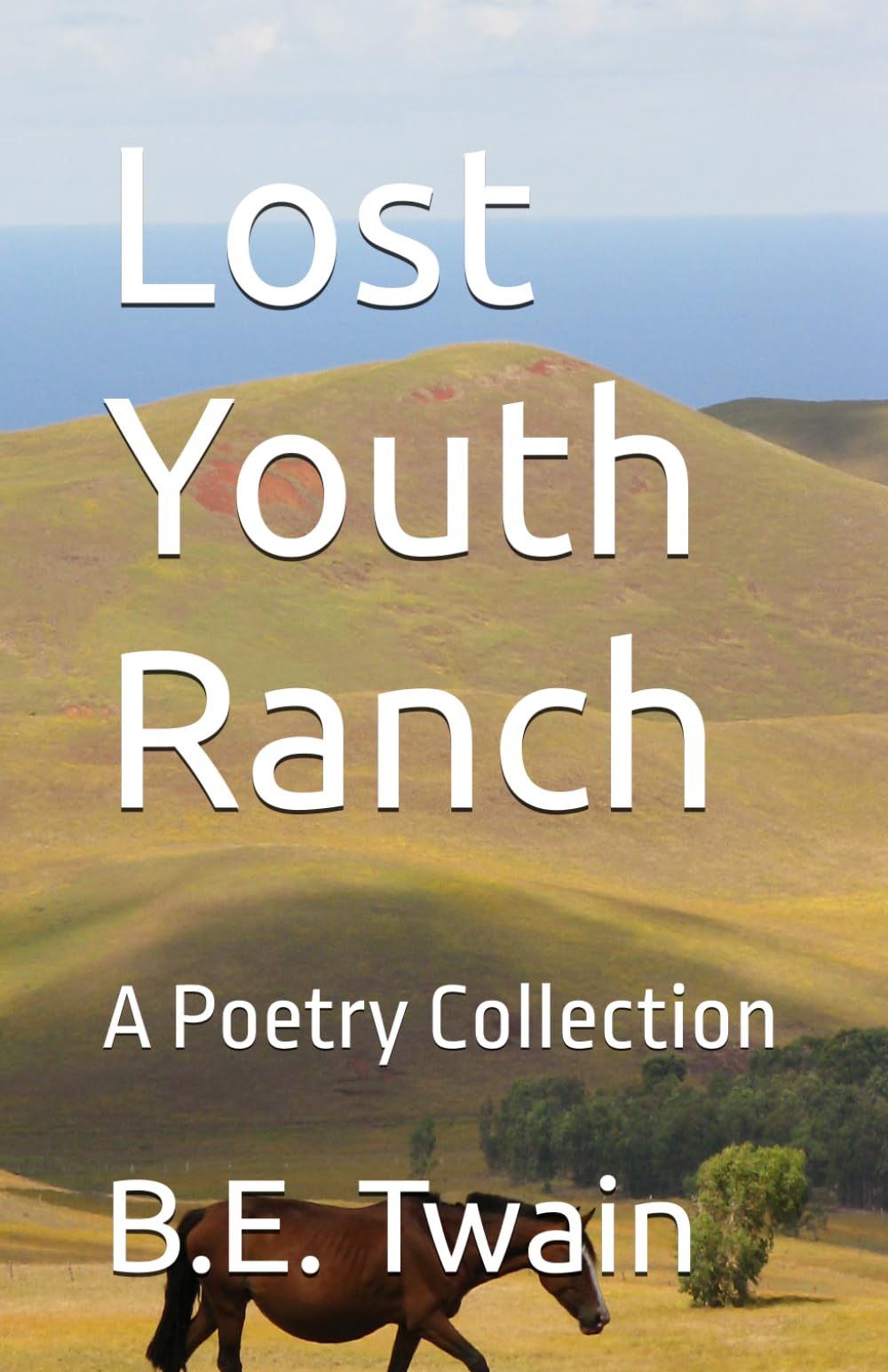 Lost Youth Ranch: A Poetry Collection