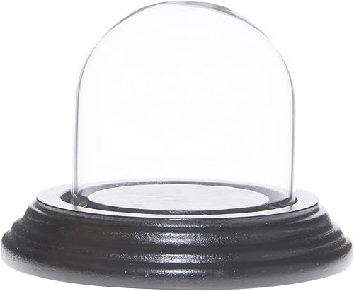 Miniatura 5 de Plymor Mini cúpula de cristal de 2 x 2 pulgadas (base de chapa de roble)