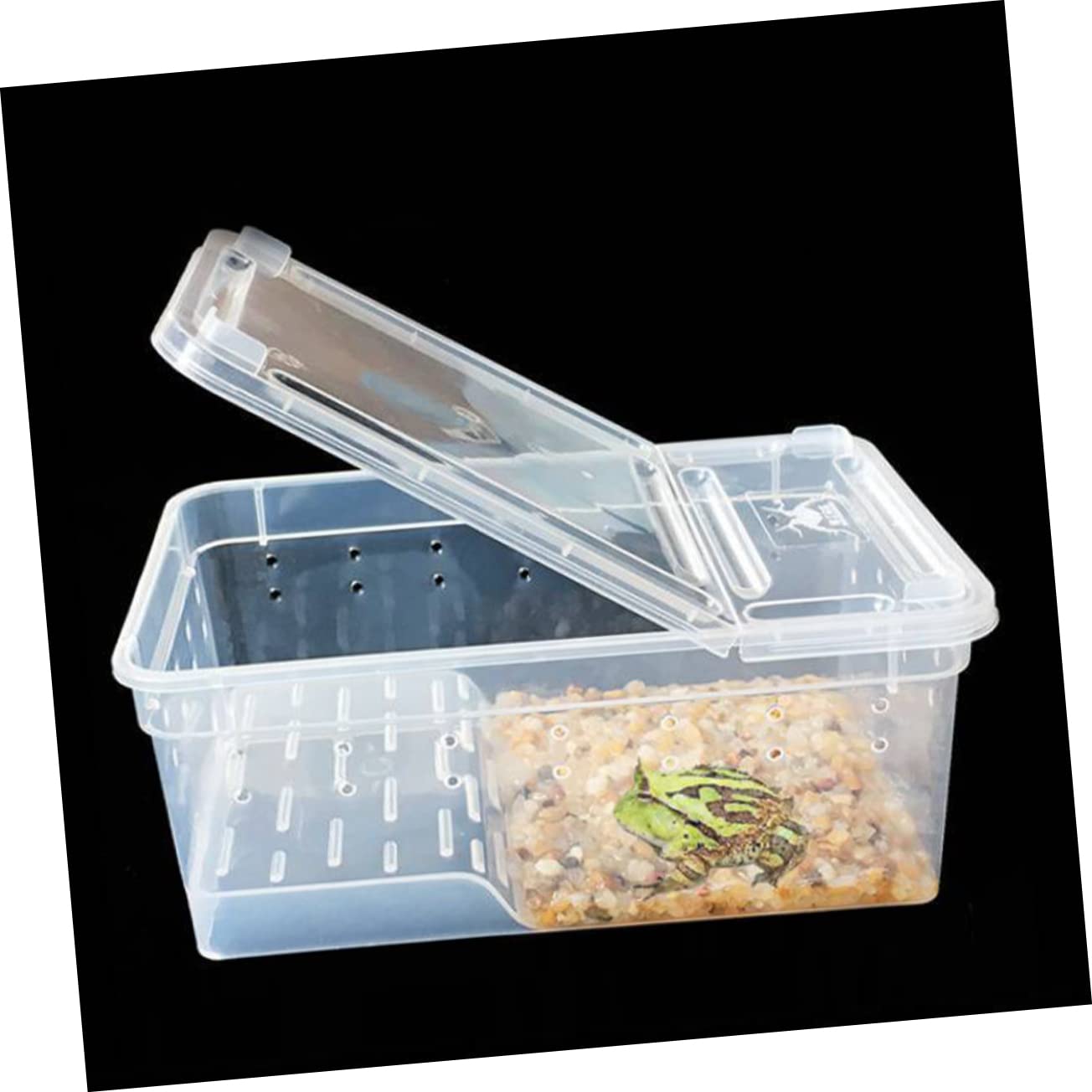 Terrario Rettili con Piattaforma per Tartarughe, Vasca Domestica | Area di Riposo e Alimentazione, Pendenza Adatta, Plastico, per Riabilitazione e Arrampicata Quotidiana