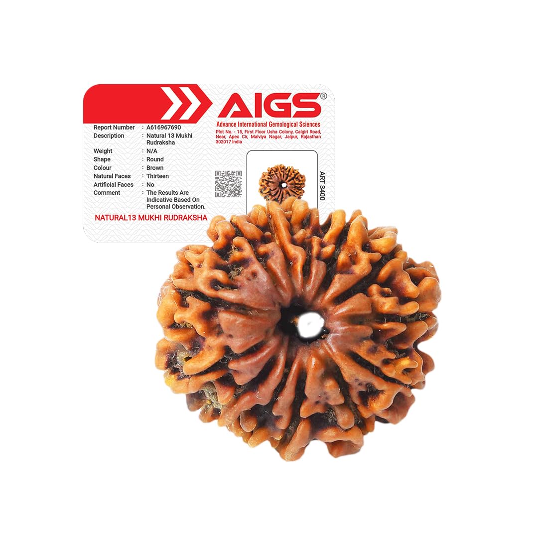 4 Mukhi Rudraksha - Nepal Origin | Wisdom & Communication -7 4 Mukhi Rudraksha - Nepal Origin | Wisdom & Communication -7