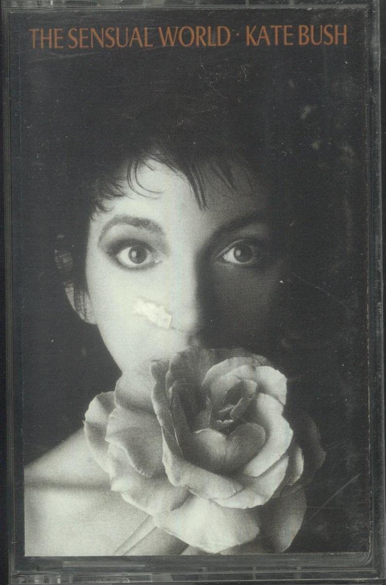 Sensual World (Audio Cassette) [Audio CD]