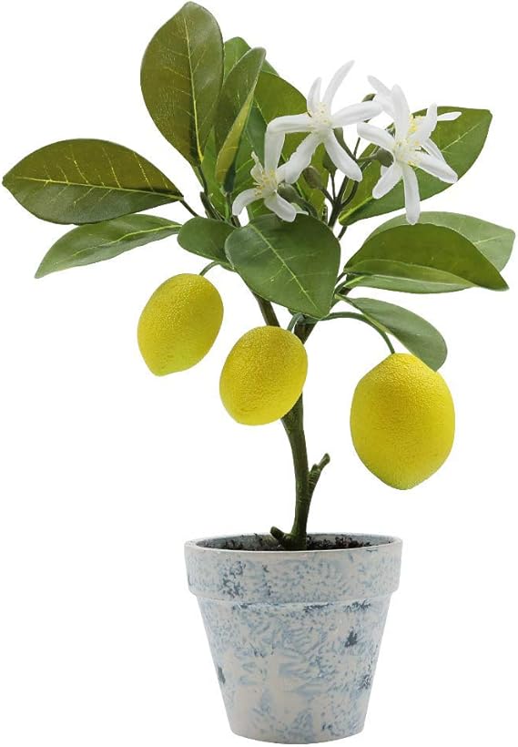 XiaZ Artificial Lemon Tree Plant Topiary, Potted Fake