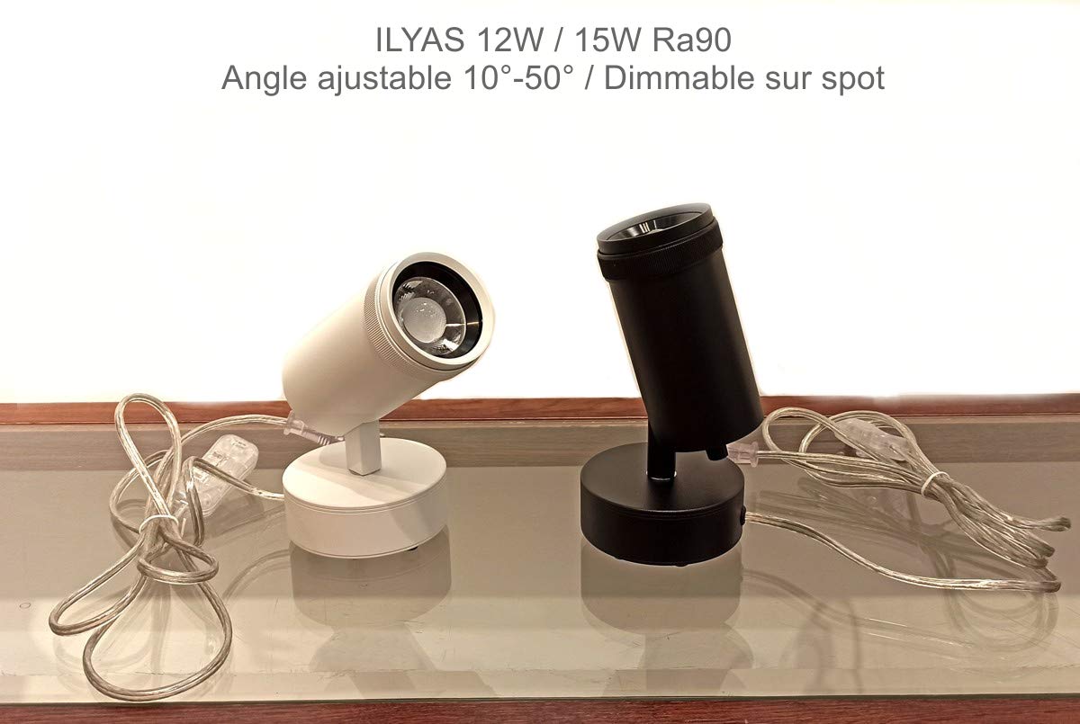 ILYAS - Faretto da tavolo dimmerabile da 12 W, con angolo di messa a fuoco regolabile da 10° a 50° Ra90 3000 K, illuminazione per quadri ed effetto luminoso (nero)