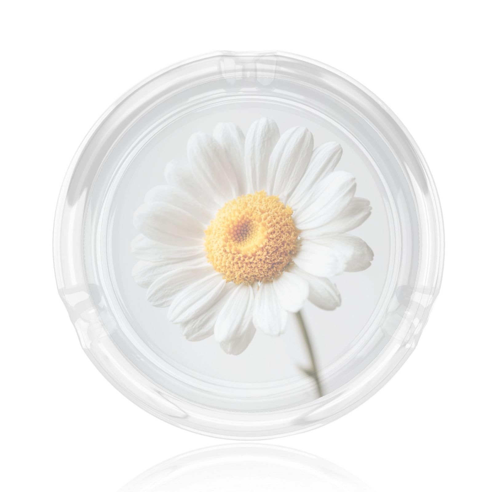 Delicate White Daisy Flower Glass Ashtray For Cigarettes Ash Trays Case For Home Office Decor