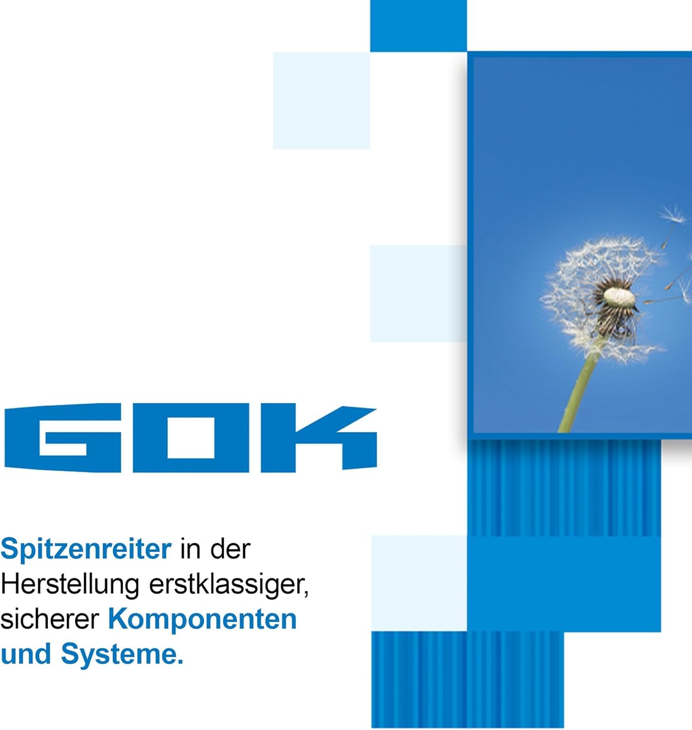 GOK Regulator gazu z 2 wyjściami