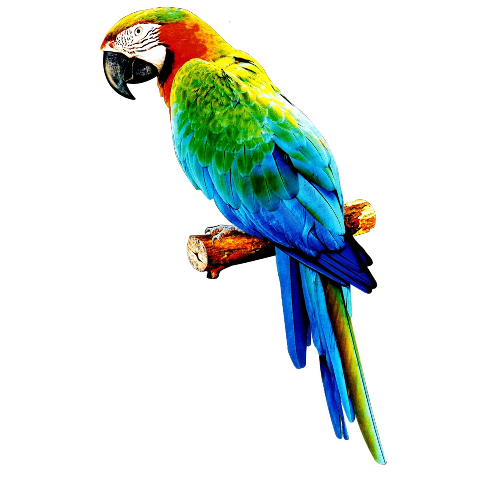 YGAKX Maison Jardin Oiseaux Toucan Sculpture Décoration Murale Résine Perroquet Pic Statues Tenture Murale Décoration Artisanat Arbres Ornements YGAKX Maison Jardin Oiseaux Toucan Sculpture Décoration Murale Résine Perroquet Pic Statues Tenture Murale Décoration Artisanat Arbres Ornements