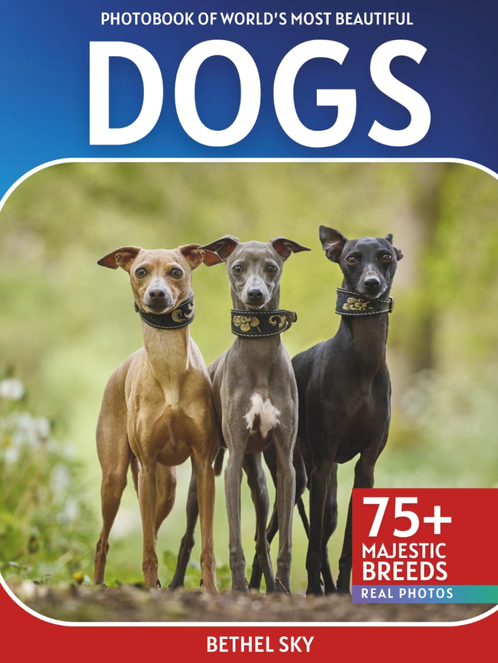 Dogs Photobook: A Stunning Visual Journey Through the World's Most Beautiful Dogs