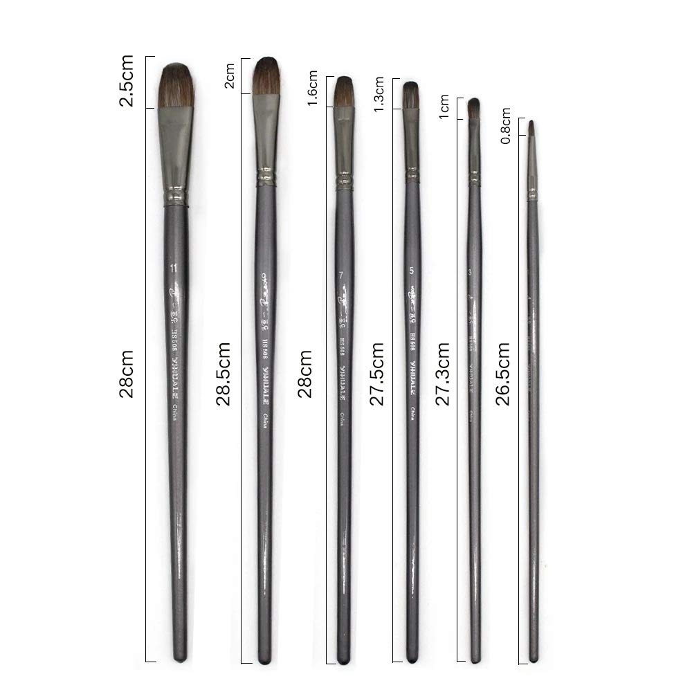 XBTGS Juego de 6 pinceles profesionales para pintura al óleo de pelo de ardilla, pincel de dibujo para pintura acrílica, arte