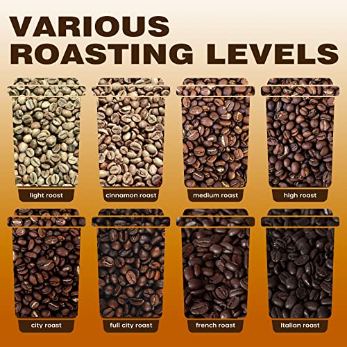 Fricoffee Coffee Roaster Machine, Electric Coffee Bean Roaster 1400W, Auto & Diy Mode Gift For Coffee Lover, Coffee Beginners #TOP4