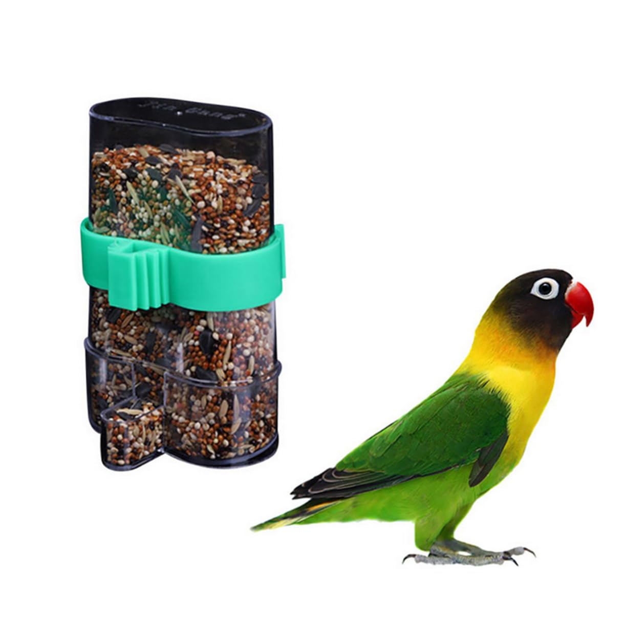 6pezzi Distributore Per Mangiatoia Per Pappagalli e Piccole Facile Cockatiel Budgie