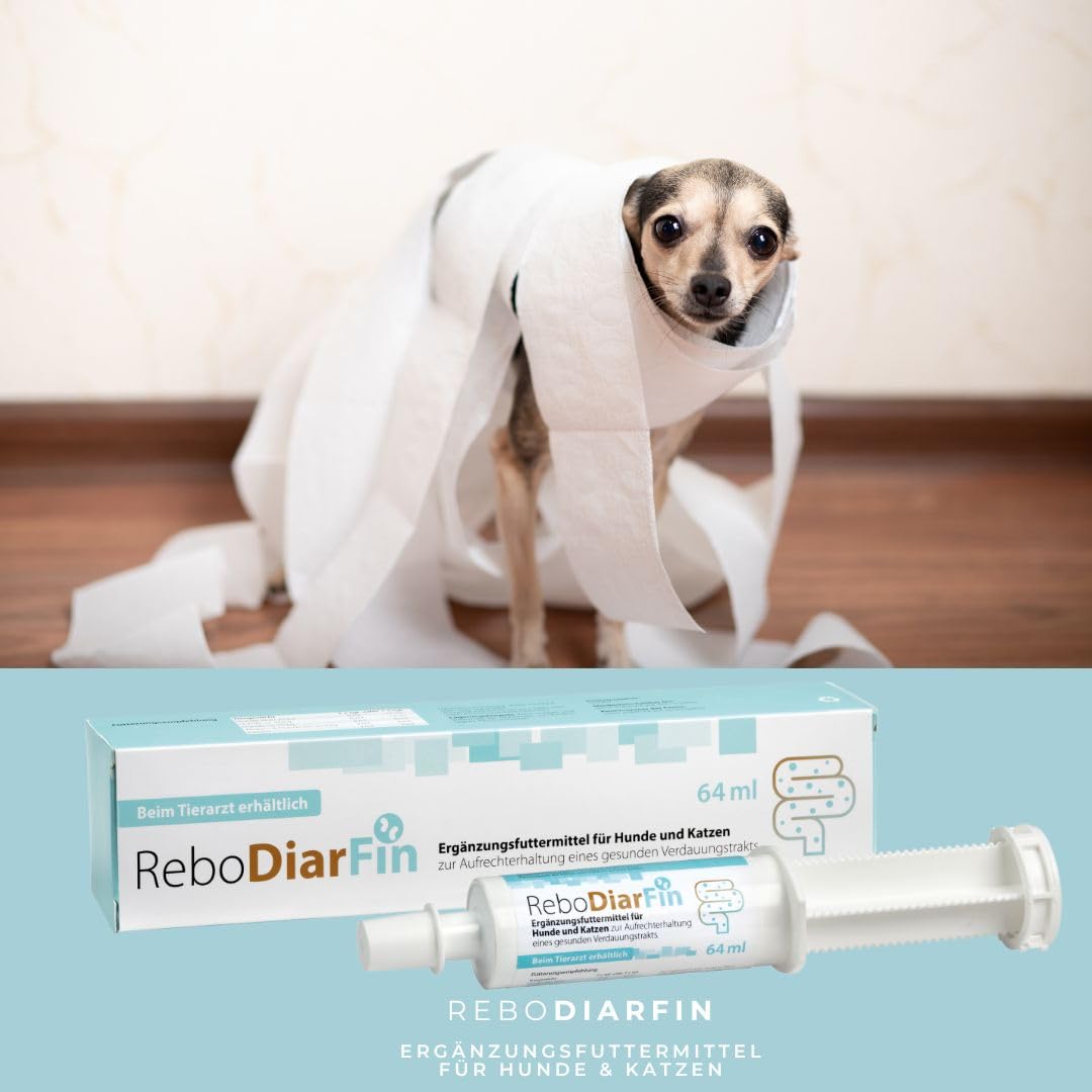 ReboDiarFin Pâte digestive pour chiens et chats 64 ml : aide en cas de troubles digestifs, avec pectine et kaolin, enrichie en peptides de glutamine, mélange de probiotiques et de prébiotiques