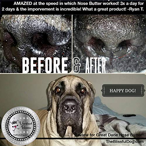 Image of The Blissful Dog French Great Dane Nose Butter for Dry, Cracked Skin, Lick-Safe Dog Nose Balm with Moisturizing Shea Butter, Almond, Olive, and Essential Oils, Pet Supplies, Uncented, 0.50 oz.
