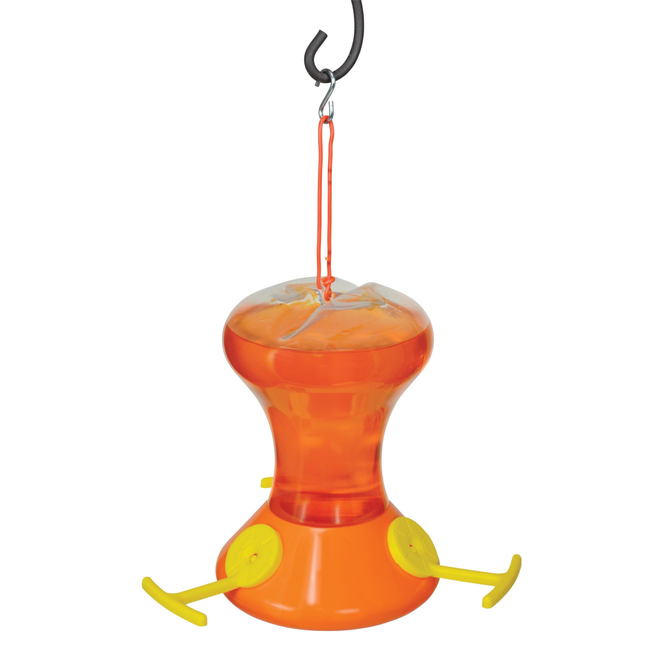 Amazon.com : Songbird Essentials SEBCO230 Fliteline Junior Oriole