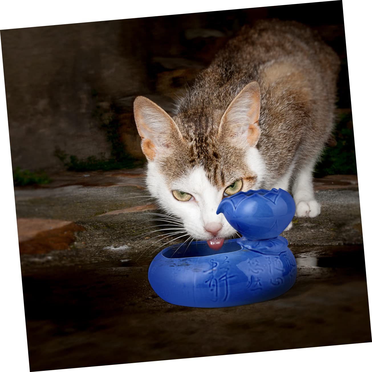 Katzen Trinkbrunnen aus Keramik mit USB Betrieb Sicherer Wasserspender in Lotusform Große Kapazität und Glatte Oberfläche für Haustiere Zuhause