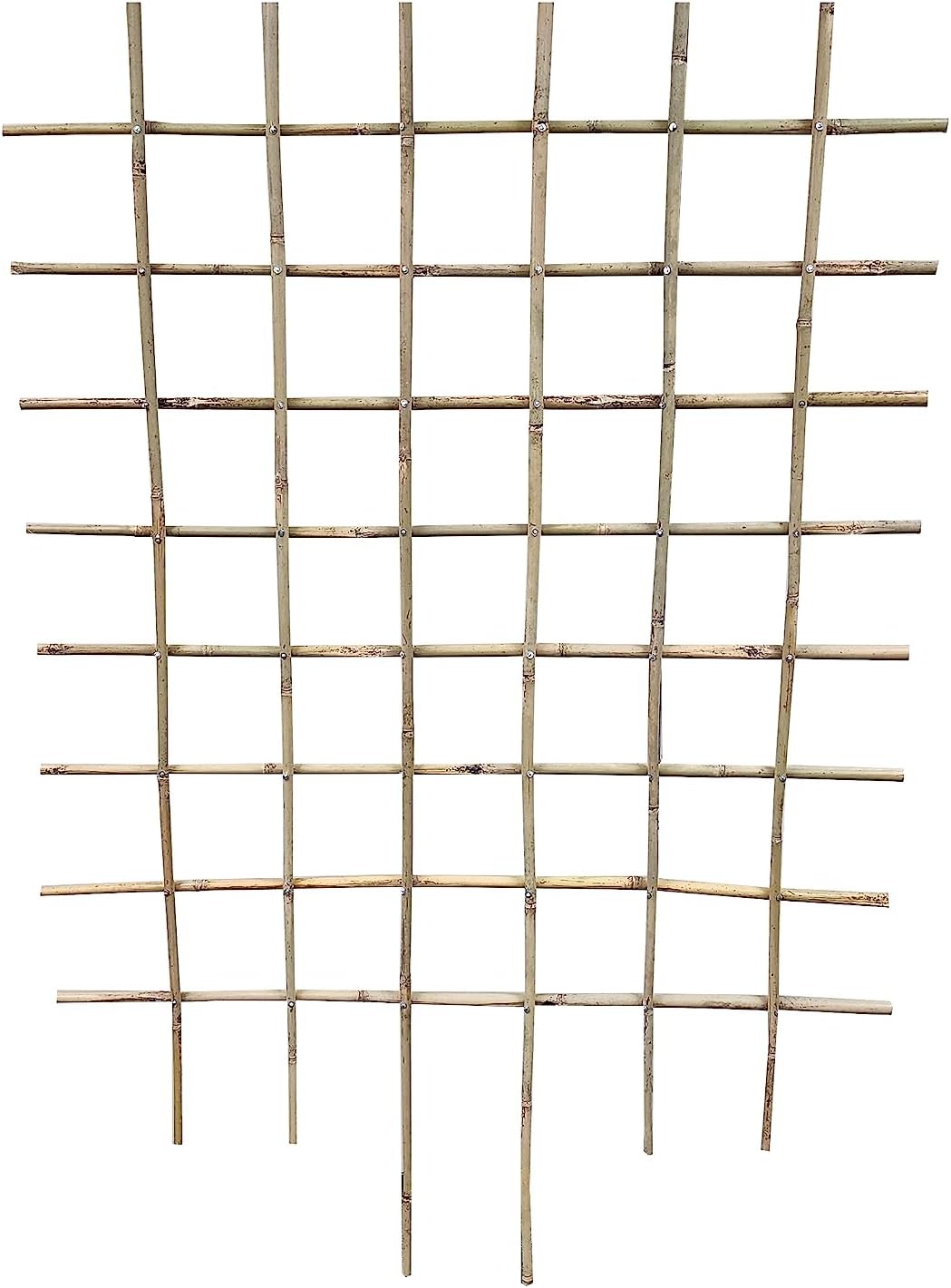 Bamboo Espalier Trellis 36 W x 48 H