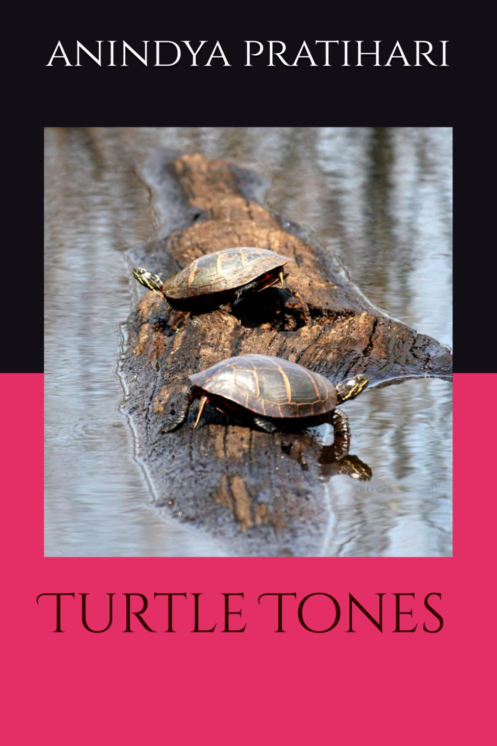 Turtle Tones créez une ambiance douce pour vos soirées lecture dans le salon