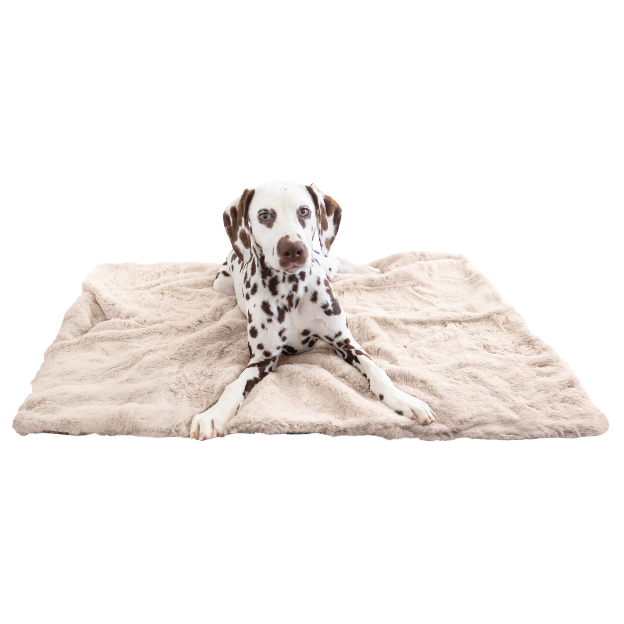 Best Friends by Sheri Reversible SnuggleSoft Calming Dog Blanket