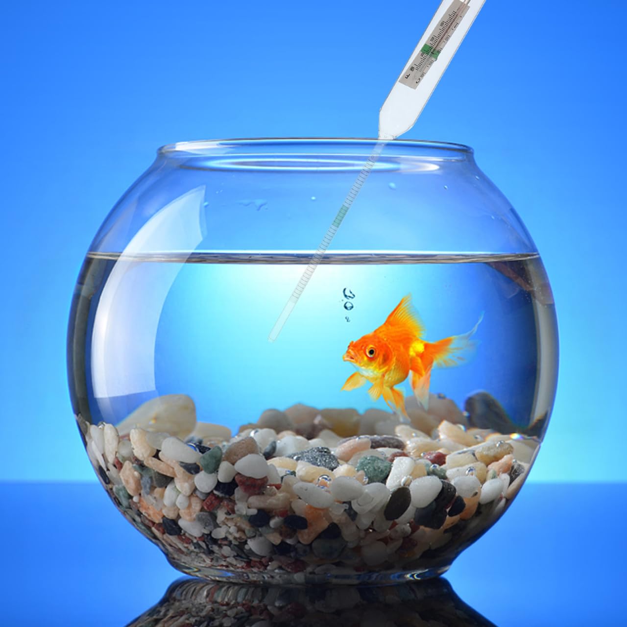 Ciieeo Salzgehalt Hydrometer für Aquarien Präzises Salzwassergravimeter zur Genauen Messung Des Salzgehalts Meerwasser Aquarien für Aquakulturen zur Optimalen Wasserqualität