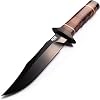 SOG Bowie 2.0 Fixed Blade Knife-Tactical Knife with 6.4 Inch Blade, Hunting Knife with Hard Case TiNi Coating and AUS-8 Steel, Leather Knife Sheath S1T-L,Brown
