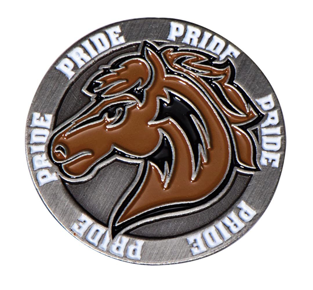 Anderson's Mustang Pride School Mascot Lapel Pin Pack, Set of 25, School Spirit, Awards