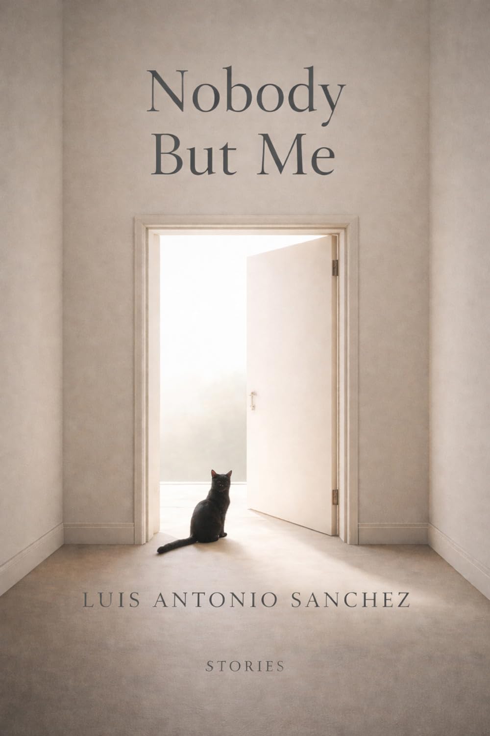Nobody But Me: Philosophical Stories