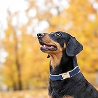 Vista 116 de Collar de Algodón Suave para Perro con Hebilla de Metal Ajustable de Servicio Pesado Cómodo Collares de Pana para Perros Pequeños, Medianos