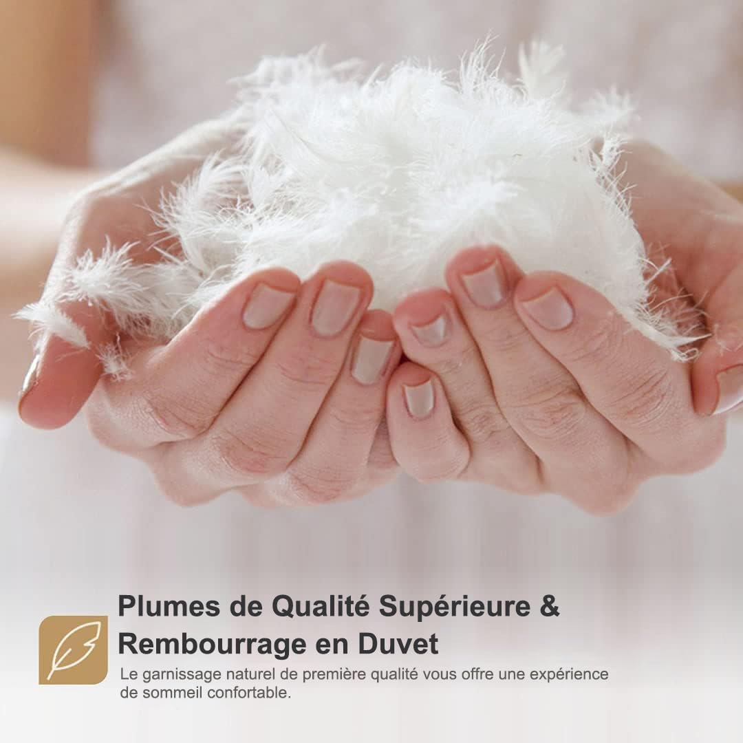 DWR Couette 4 Saisons 240x260 cm,Remplissage Duvet et Plumes d'oie,300GSM,Chaude et Respirante,Moyenne pour Toutes Les Saisons,100% Coton Biologique, Certifié Oeko-Tex et RDS,lit 2 Personne