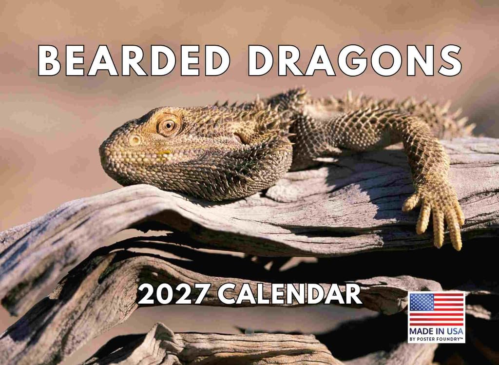 Bearded Dragon Calendar 2027 Monthly Wall Calender 12 Month โ image 1