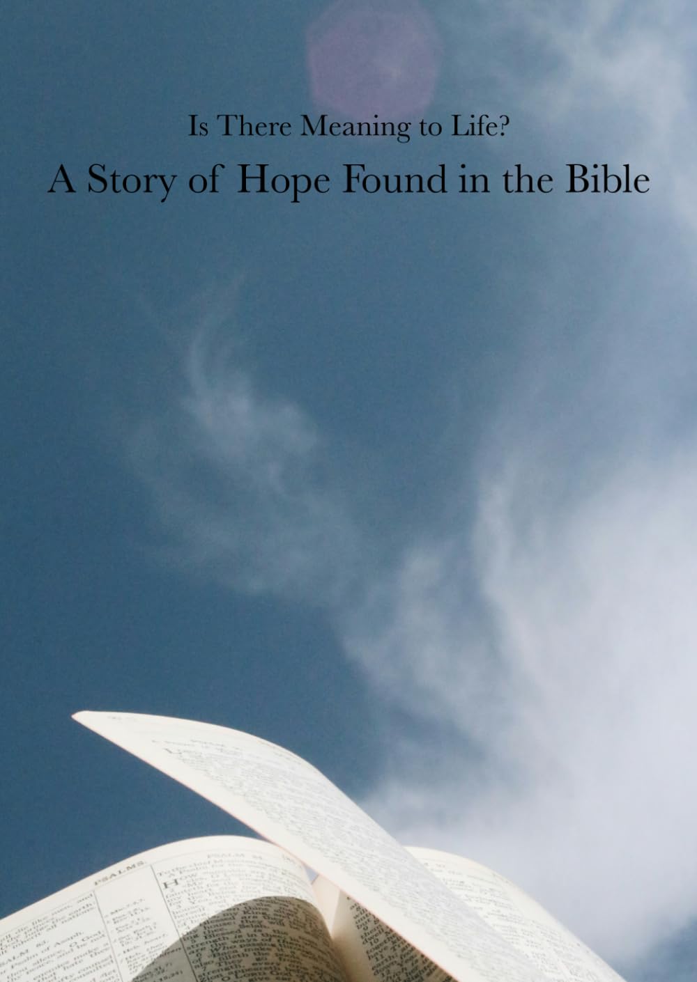 Is There Meaning to Life? A Story of Hope Found in the Bible (New Heart Devotionals)