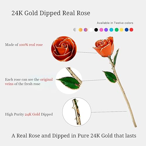 Miniatura 4 de OLEKURT Rosas doradas bañadas en rosas de 24 quilates para esposa, día de la madre, aniversario, día de San Valentín (rosa naranja con soporte de