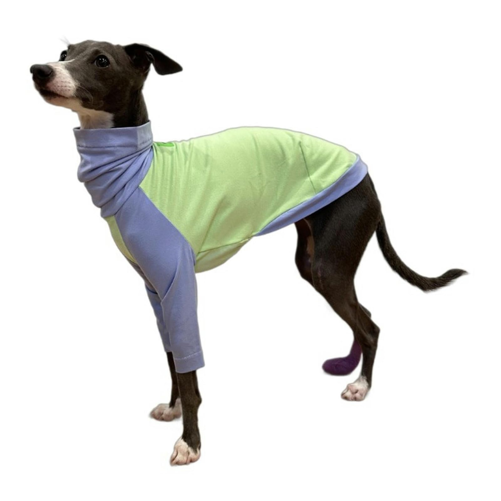 Ropa de Galgo Italiano para Primavera y Verano, Camisa Fina de algodón para Perro, Jersey de Cuello Alto, Camisetas para Perros, Disfraces Suaves y Transpirables para Perros