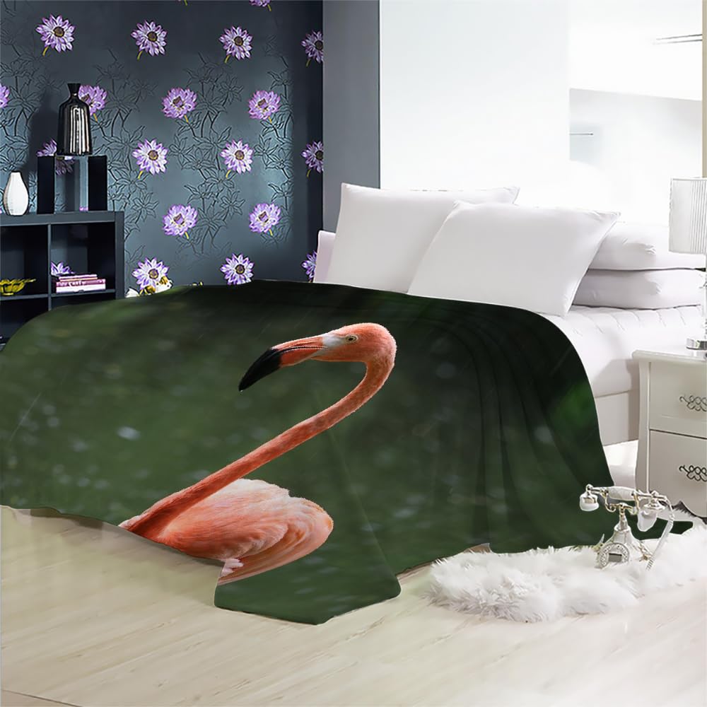 Couverture Polaire Flanelle Flamingo 150X200 Couverture Polaire Epaisse Hiver Chaude,Couverture Lit Jete De Canape 1 Personnes,Grand Chaud Et Doux,E24