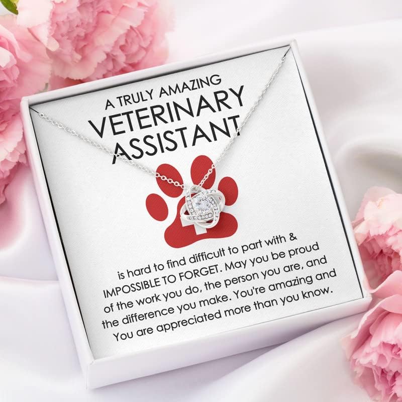 Veterinary Assistant Necklace Silver Plated Love Knot - Hard to Find Difficult to Part - Veterinarian Pet Lovers Paw Practitioner