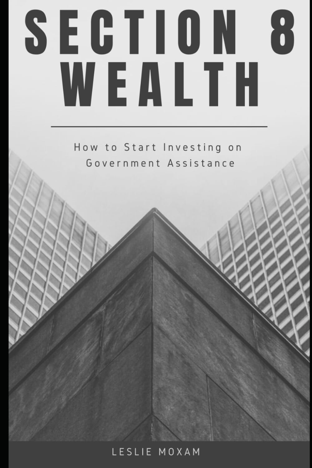 Section 8 Wealth: How to Start Investing on Government Assistance: A Comprehensive Guide