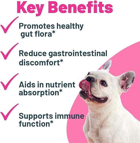 Miniatura 2 de Buddy Biotics - Probiótico + prebiótico para perros, salud de la flora intestinal, salud digestiva e inmunológica, diarrea y apoyo intestinal, 5 mil