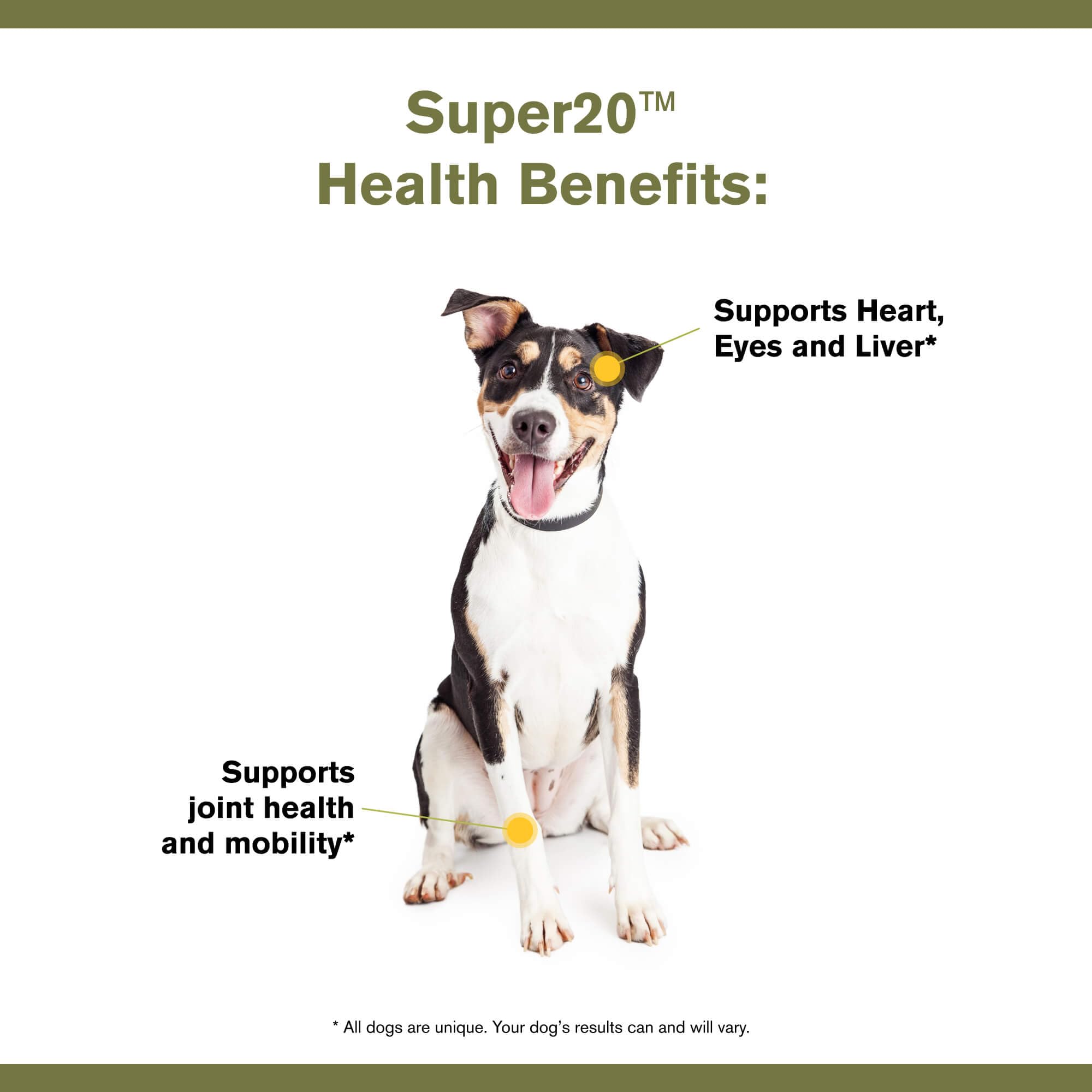 Badlands Ranch - Super20 Canine Supplement Organic Ingredients Multi-Benefit Supplement, Ashwagandha, Help w/Canine Well-Being, Heart, Joint, Vision, Antioxidant Support by Katherine Heigl (30 scoops)