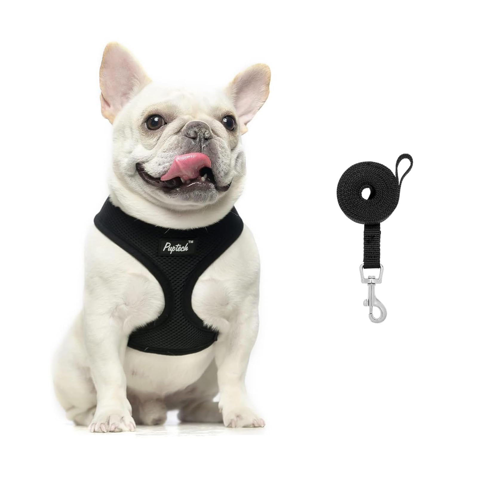 PUPTECK Dog Harness Small Dog Soft Mesh Pet Puppy Cat Comfort Padded Vest No Pull Harnesses and Leash Set — image 1