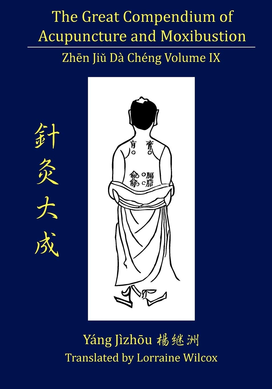 The Great Compendium of Acupuncture and Moxibustion Volume IX