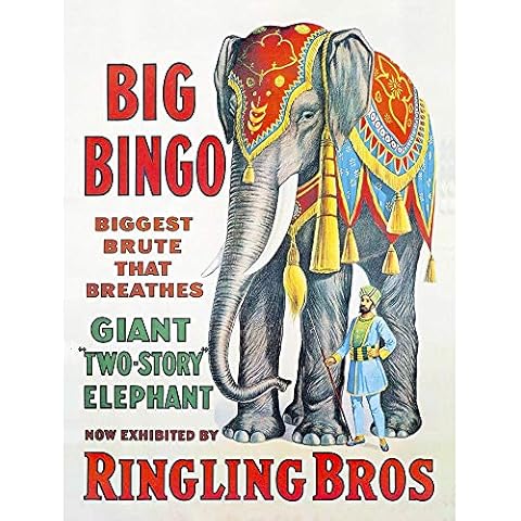 Wee Blue Coo Circus Elephant Big Bingo Ringling Bros Brute Giant USA Unframed Wall Art Print Poster Home Decor Premium Cover