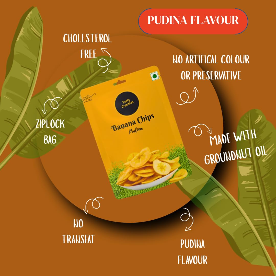 Tasty Crumbles Banana Chips, Salted and Pudina Flavour Combo, 400g, Pack of 2(Each 200g) 3