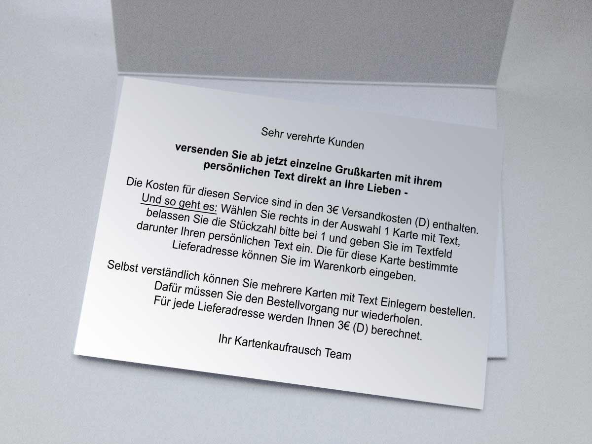 16x Lustiger Santa Weihnachtskarten Geschenk Gutschein (Mengenrabatt) für die beste Freundin/Familie/Firmen • Klappkarten Set mit Umschlag als liebevoller Weihnachts Gruss