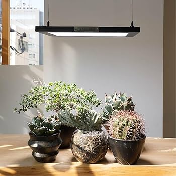 ROKI350 パネルライト　① 植物育成LED Amazon.co.jp: BARREL 正規代理店 【ROKI‐350 100W】(ロキ