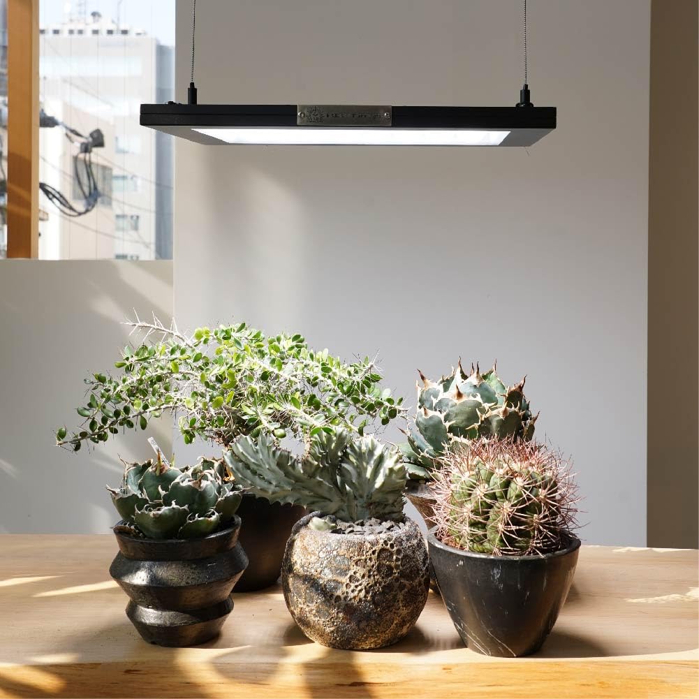 ROKI350 パネルライト　① 植物育成LED Amazon.co.jp: BARREL 正規代理店 【ROKI‐350 100W】(ロキ