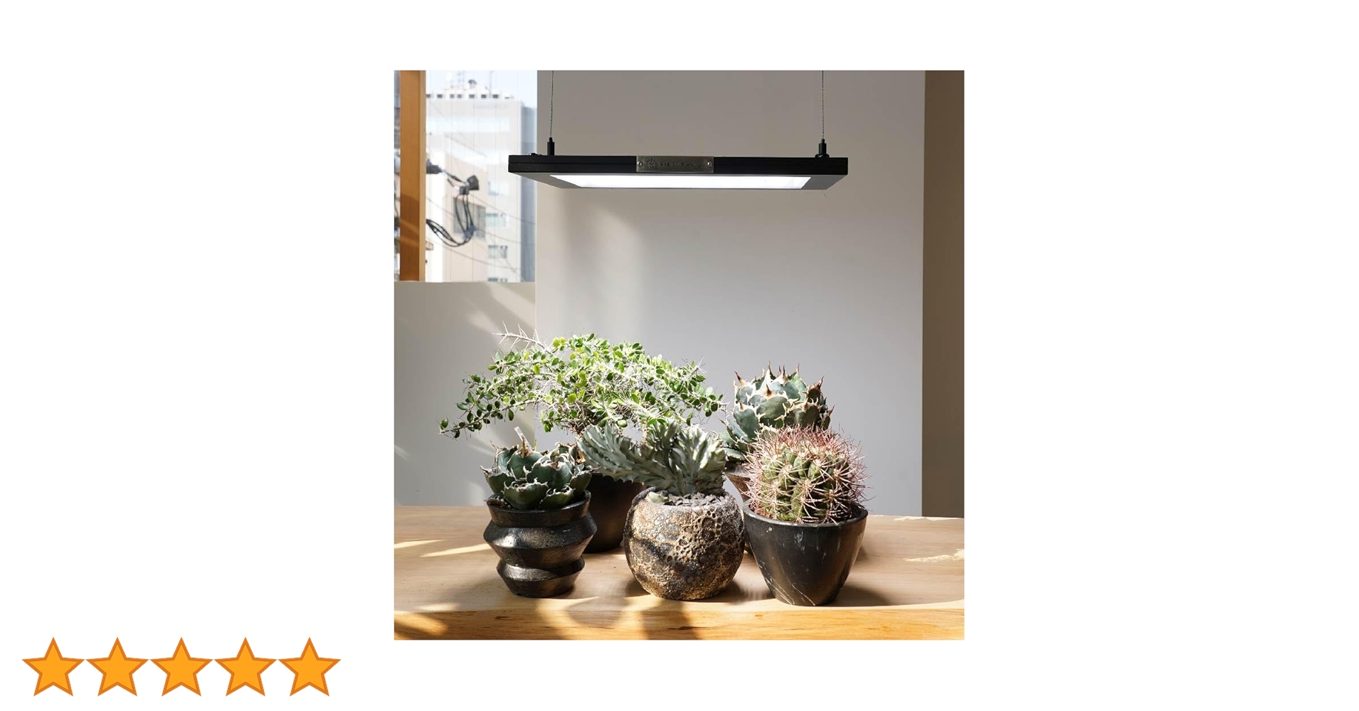 Amazon.co.jp: BARREL 正規代理店 【ROKI‐350 100W】(ロキ