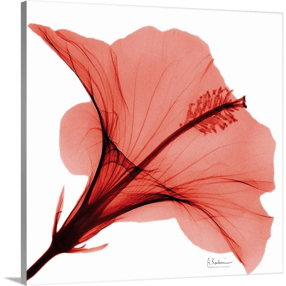 X Ray Floral Wall Art Decor For You