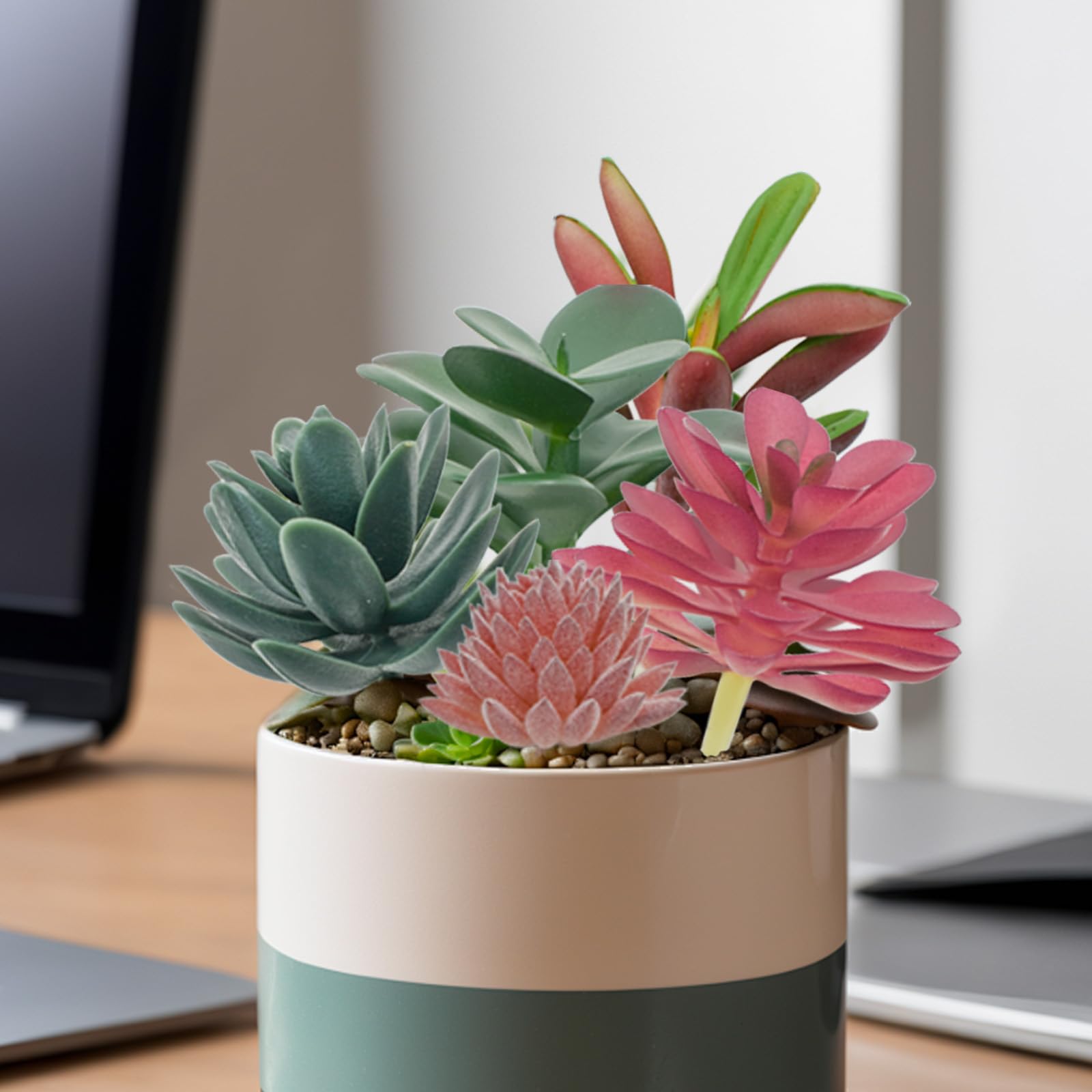 イタリア製　観葉植物造花　多肉植物　サボテン　大　VGnewtrend Amazon.co.jp: 人工観葉植物グルート鉢植え、サボテン、人工花